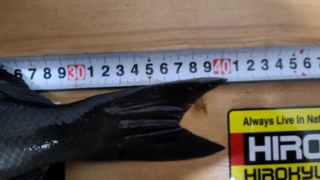 DAIWAマスターズ　ブロック大会　勝浦にて